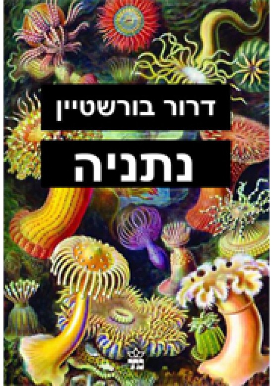 נתניה