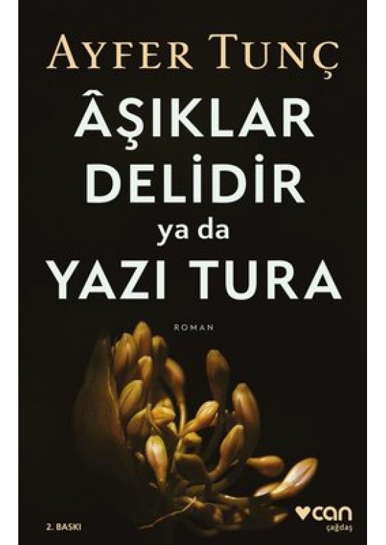 Aşıklar Delidir ya da Yazı Tura